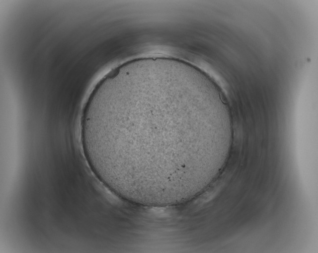 X0000115071480200911241112