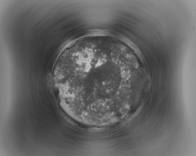 X0000115071481200911241112