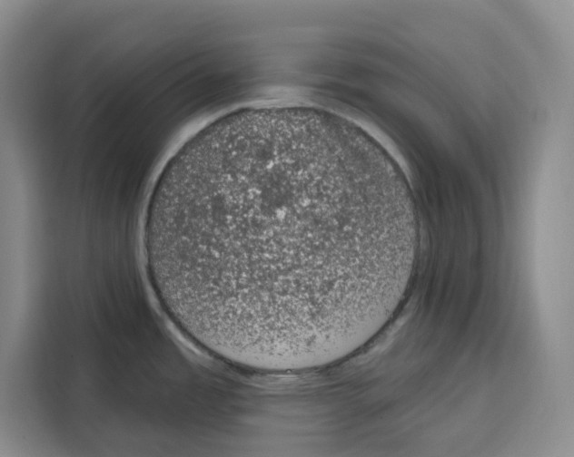 X0000115071485200911241112