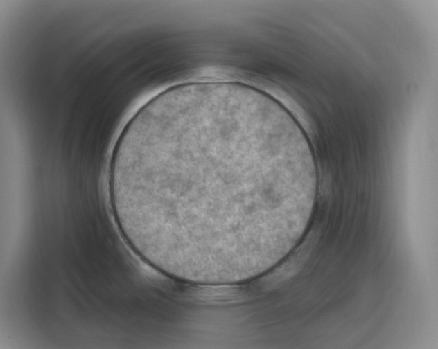 X0000115071486200911241112