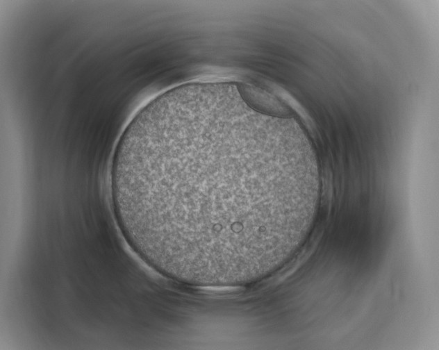 X0000115071487200911241112