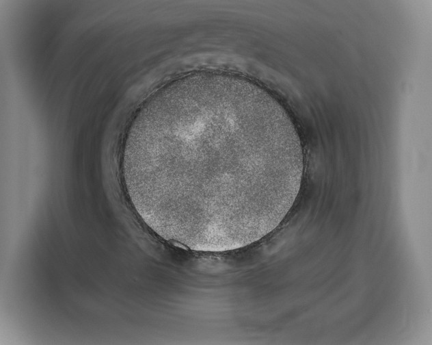 X0000115071489200911241111