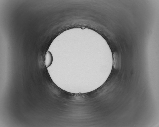 X0000115071491200911241111