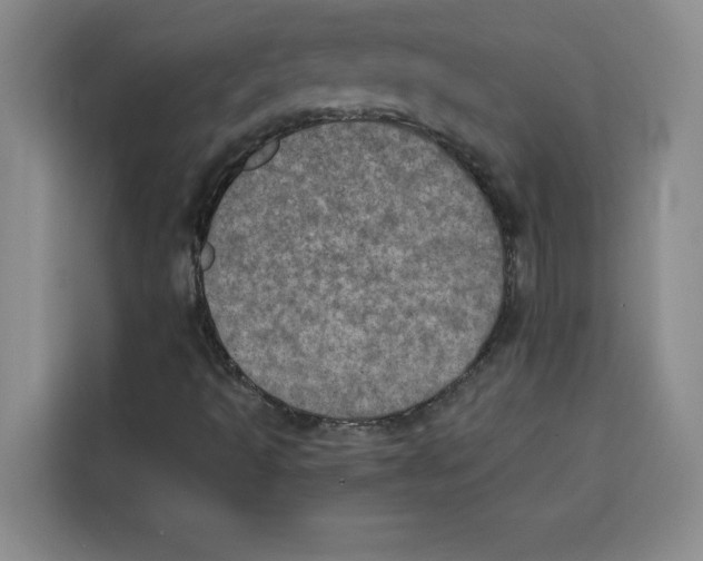 X0000115071493200911241111