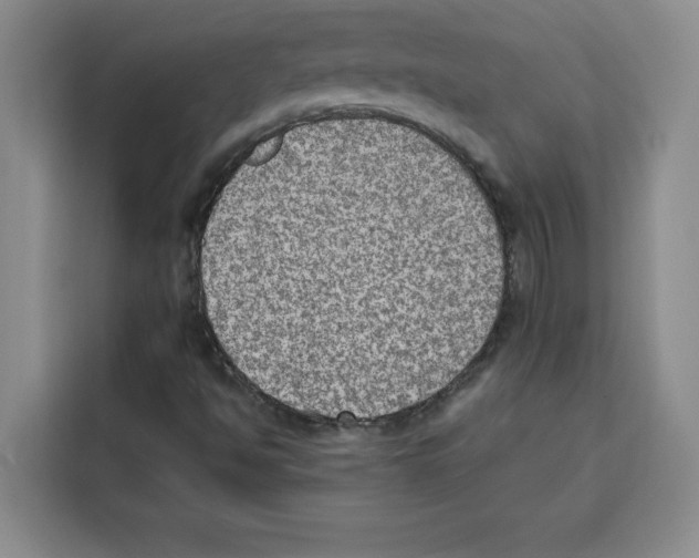 X0000115071494200911241111