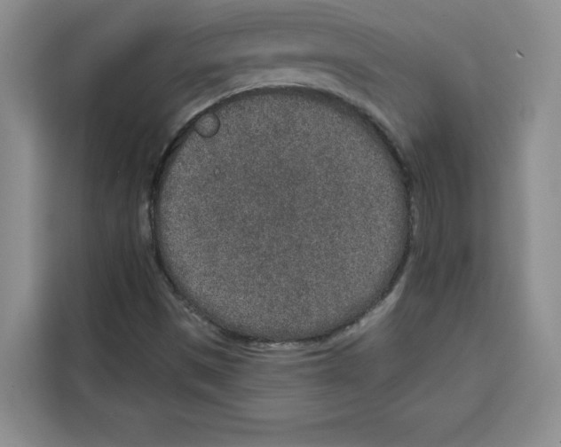X0000115071497200911241111