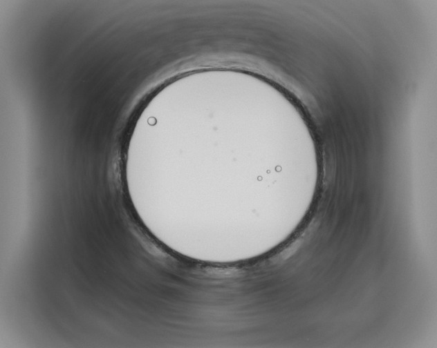 X0000115071498200911241111