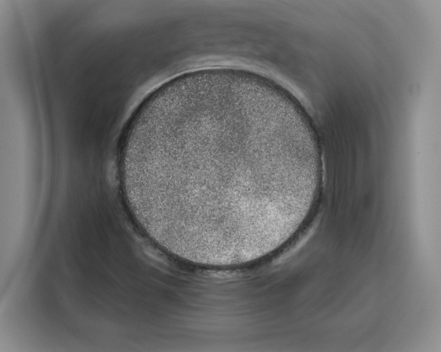 X0000115071501200911241111