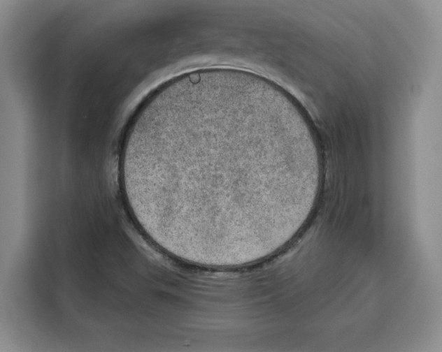 X0000115071503200911241112