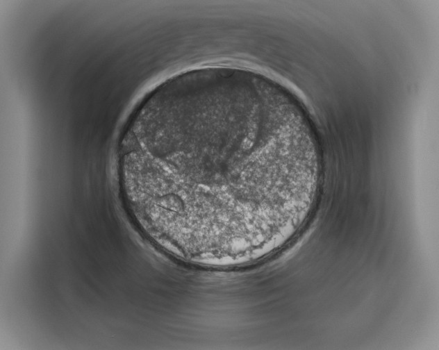 X0000115071506200911241112