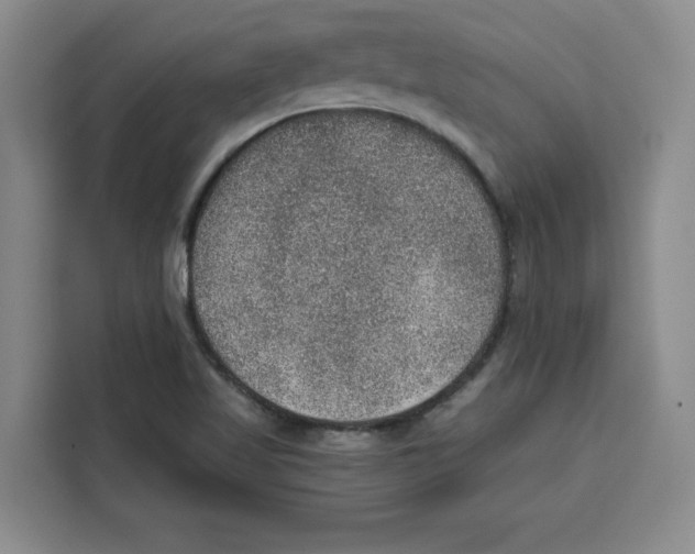 X0000115071509200911241112