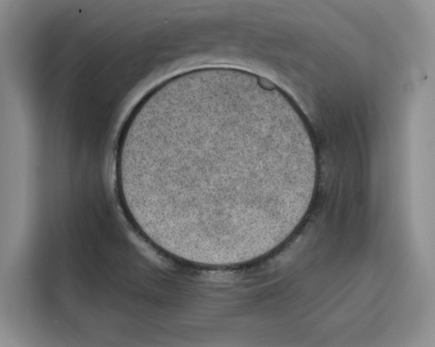 X0000115071511200911241112