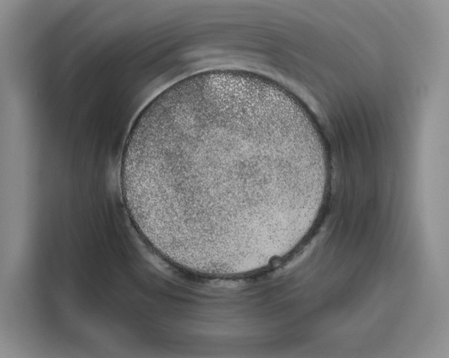 X0000115071513200911241112