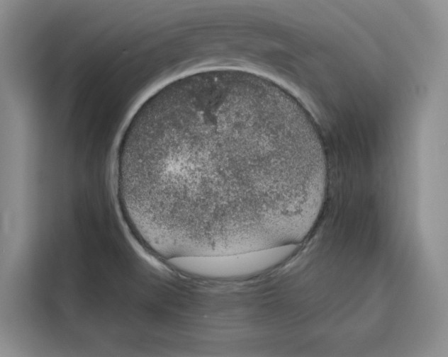 X0000115071519200911241112