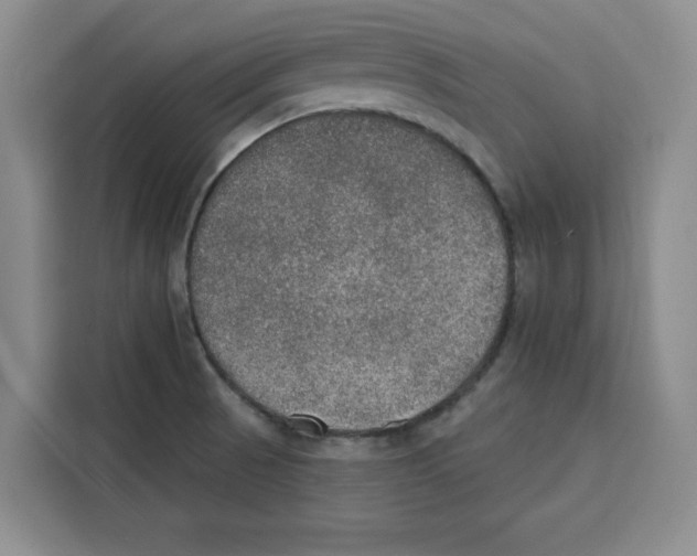 X0000115071521200911241112