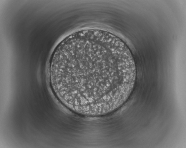 X0000115071522200911241112