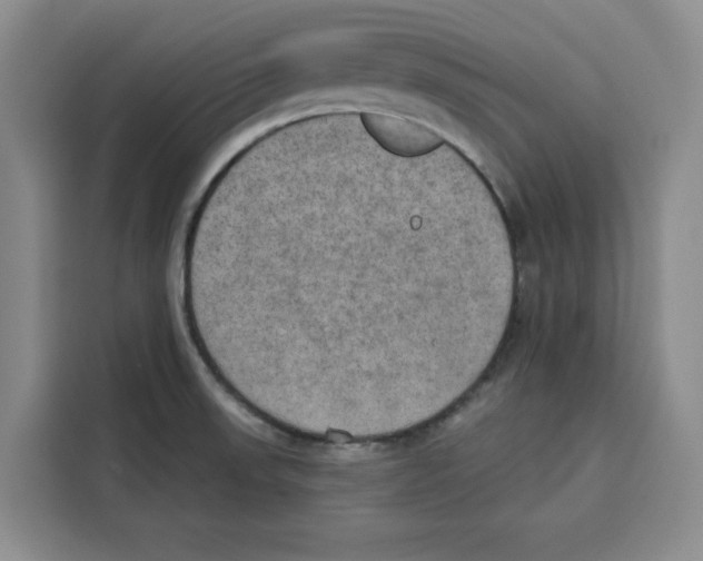 X0000115071523200911241112