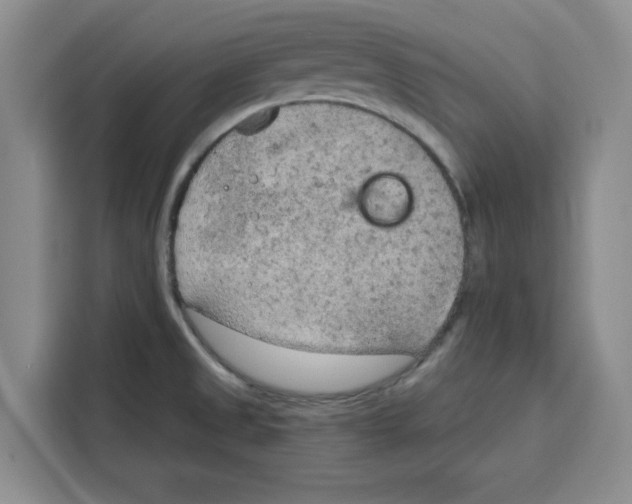 X0000115071525200911241112