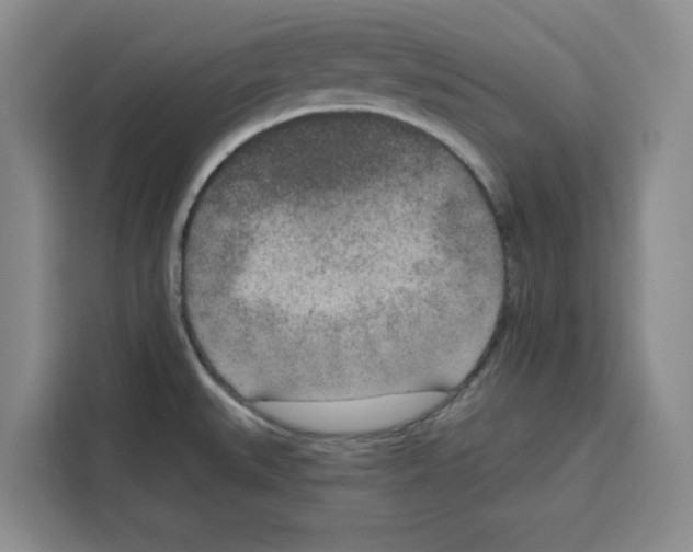 X0000115071527200911241112
