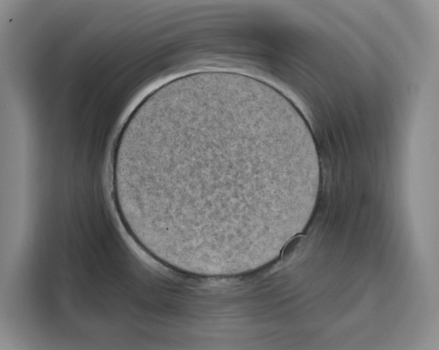X0000115071531200911241112