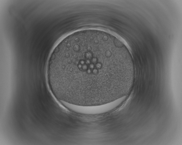 X0000115071533200911241112