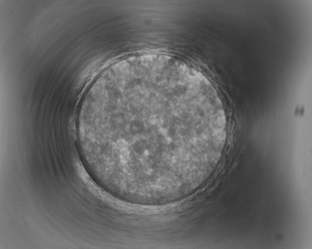 X0000115070002200912081159