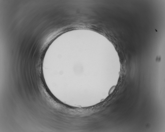 X0000115070005200912081158