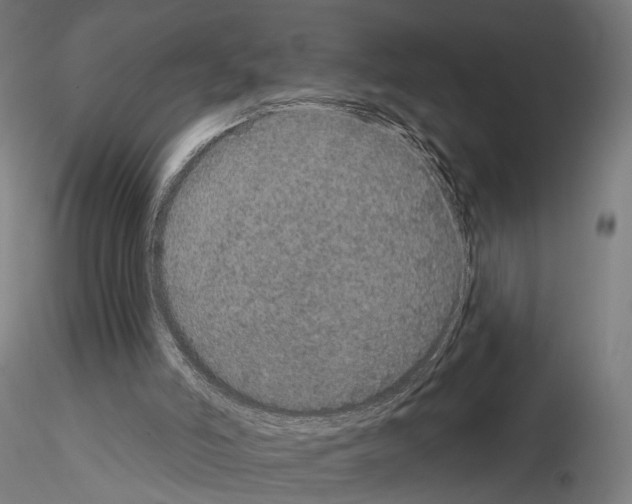 X0000115070006200912081158