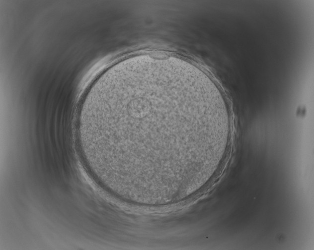 X0000115070007200912081158