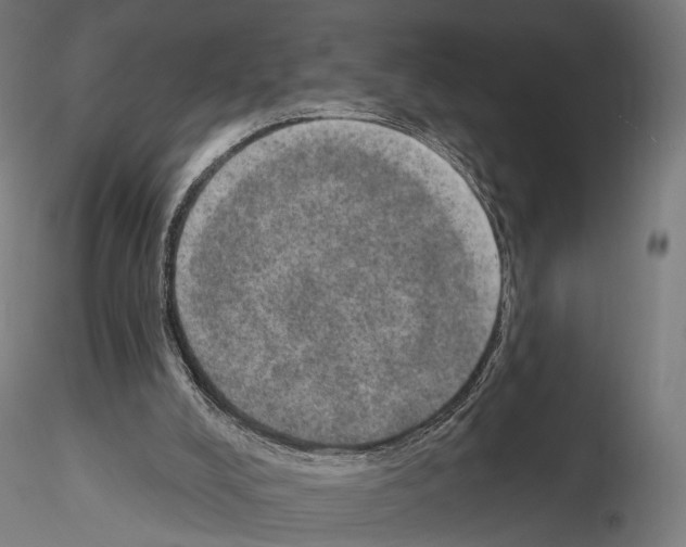 X0000115070008200912081158