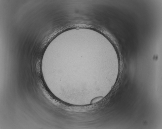 X0000115070009200912081158