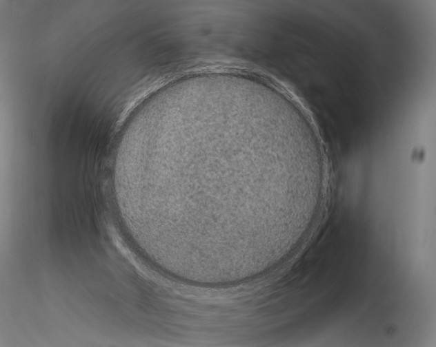 X0000115070010200912081158