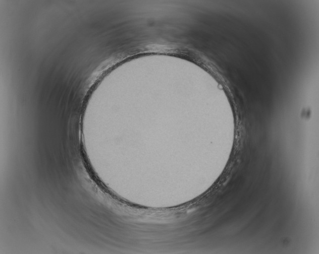 X0000115070011200912081158