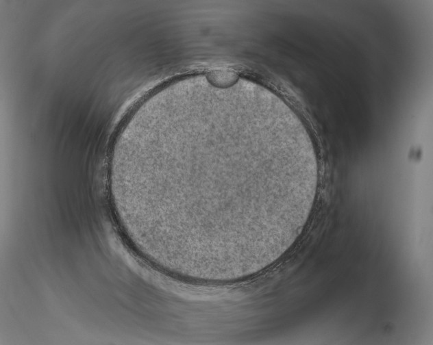 X0000115070012200912081158