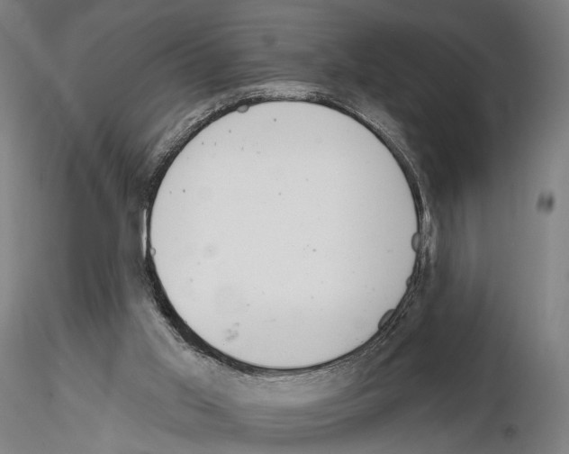 X0000115070013200912081158