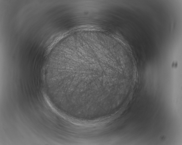 X0000115070014200912081158