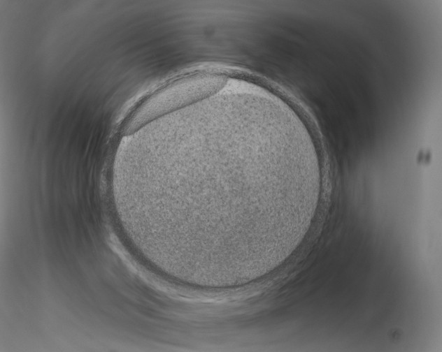 X0000115070015200912081158