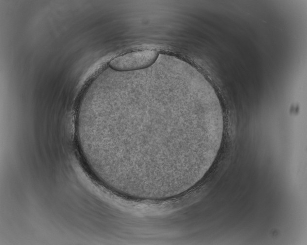 X0000115070016200912081158