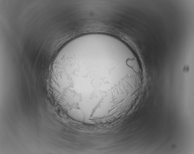 X0000115070017200912081158