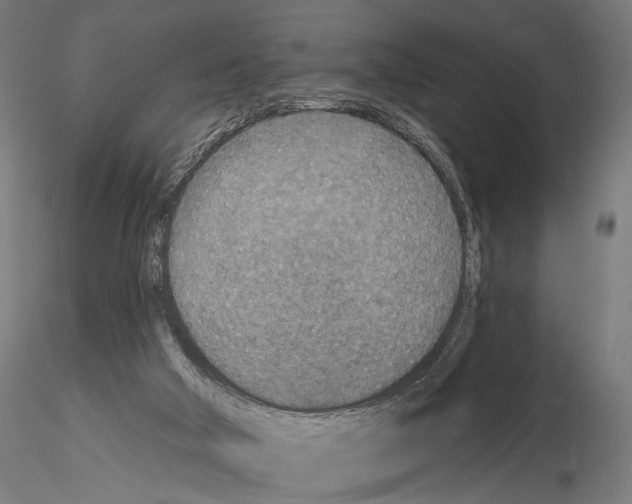 X0000115070018200912081158