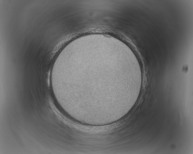 X0000115070019200912081158