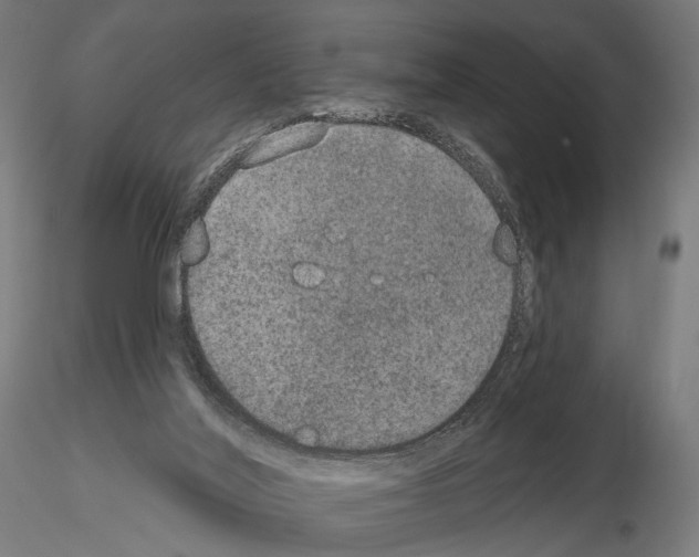 X0000115070020200912081158