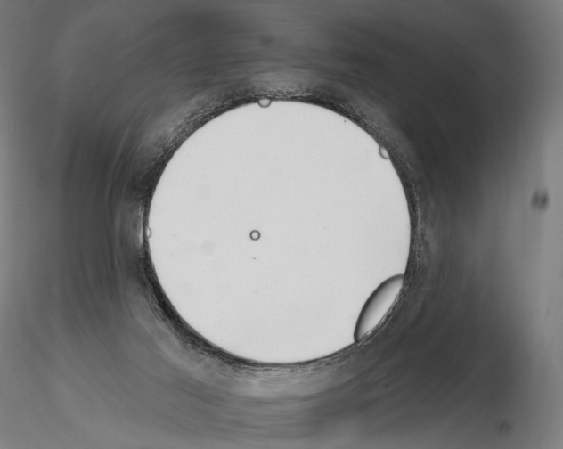 X0000115070021200912081158