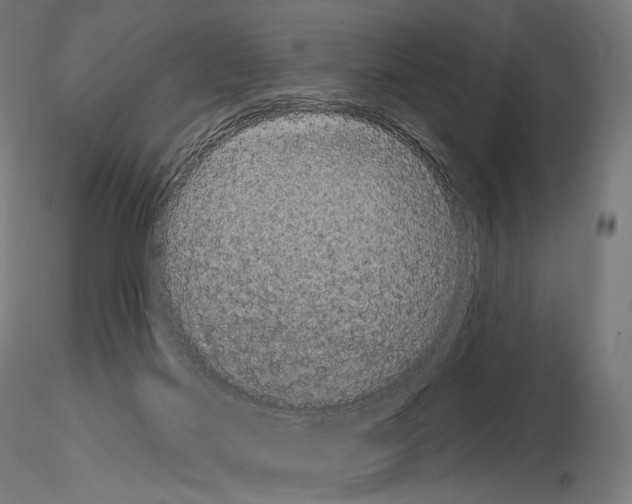 X0000115070022200912081158