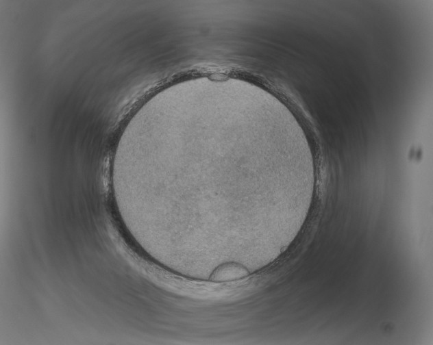 X0000115070023200912081158