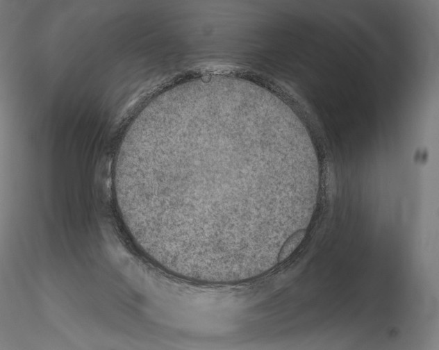 X0000115070024200912081158