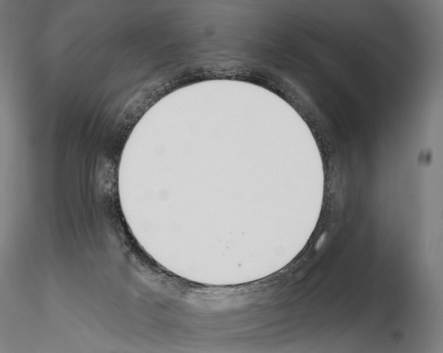 X0000115070025200912081158