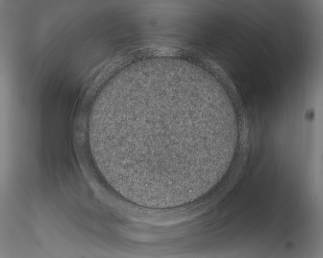 X0000115070026200912081158