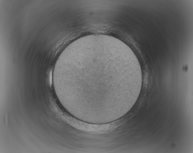 X0000115070027200912081158