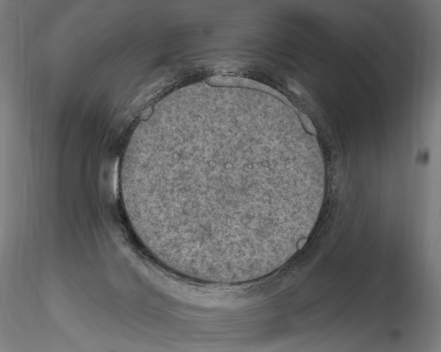 X0000115070028200912081158